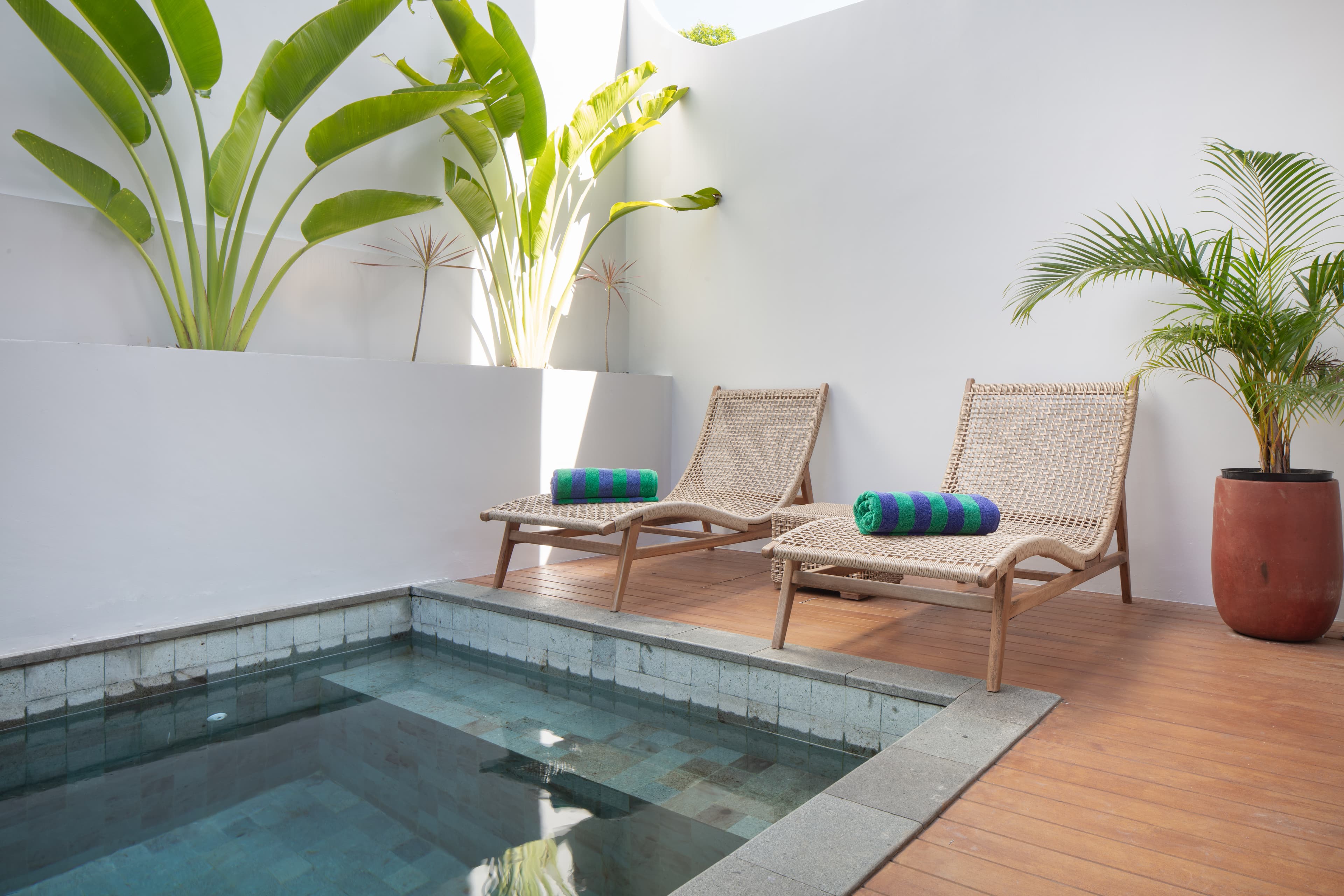 Private plunge pool surrounded by tropical foliage